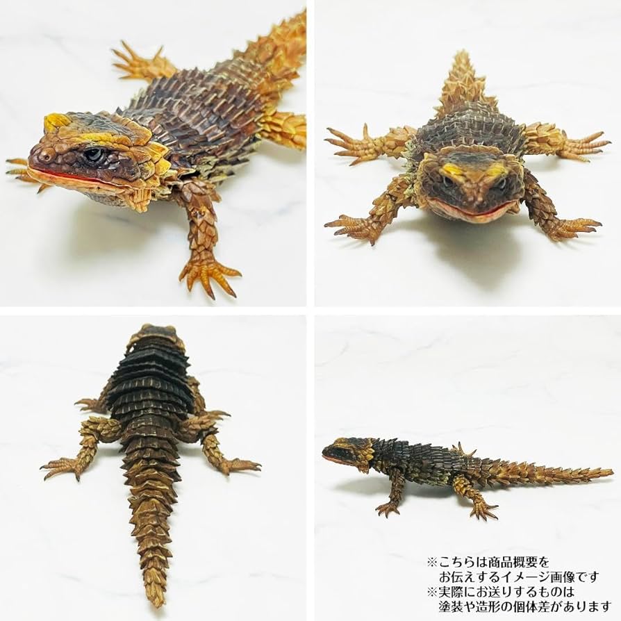 アルマジロトカゲ　プレミアムガシャポン　生き物大図鑑 いきもの大図鑑アドバンス アルマジロトカゲ｜いきもの大図鑑